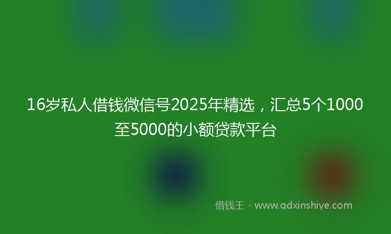 16岁私人借钱微信号2025年精选，汇总5个1000至5000的小额贷款平台