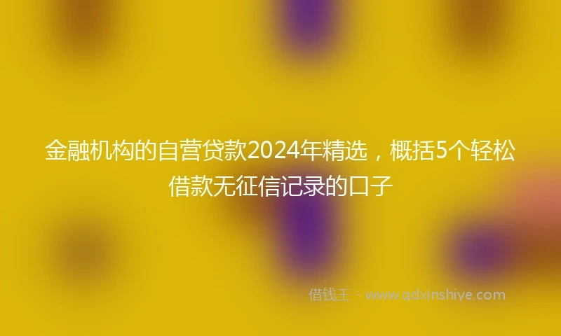 金融机构的自营贷款2024年精选，概括5个轻松借款无征信记录的口子
