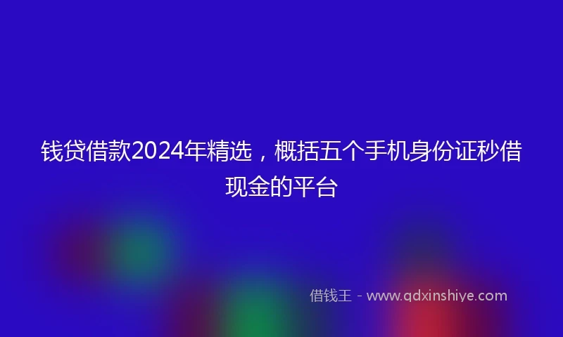 钱贷借款2024年精选，概括五个手机身份证秒借现金的平台