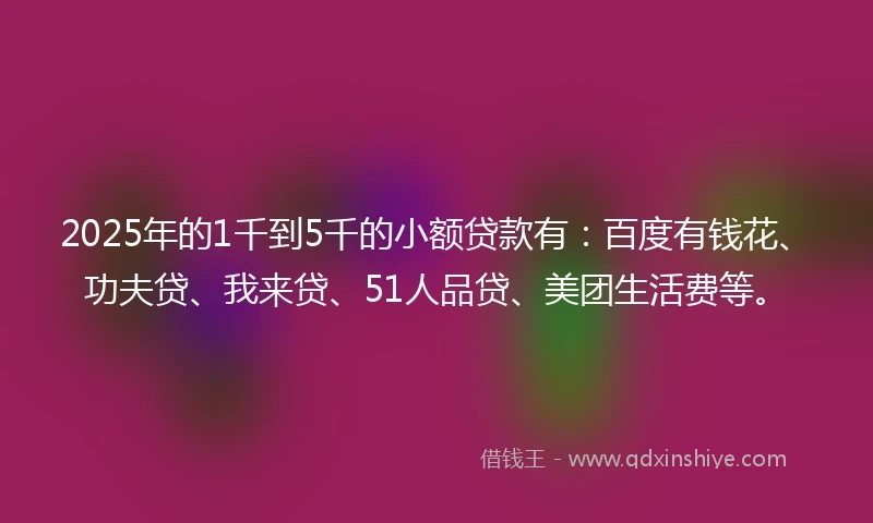 2025年的1千到5千的小额贷款有：百度有钱花、功夫贷、我来贷、51人品贷、美团生活费等。