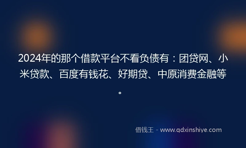 2024年的那个借款平台不看负债有：团贷网、小米贷款、百度有钱花、好期贷、中原消费金融等。