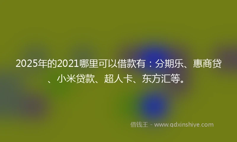 2025年的2021哪里可以借款有：分期乐、惠商贷、小米贷款、超人卡、东方汇等。