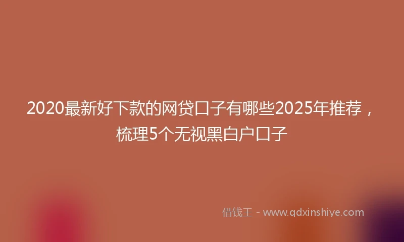 2020最新好下款的网贷口子有哪些2025年推荐，梳理5个无视黑白户口子