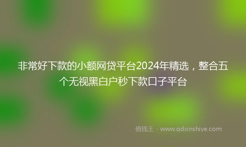 非常好下款的小额网贷平台2024年精选，整合五个无视黑白户秒下款口子平台