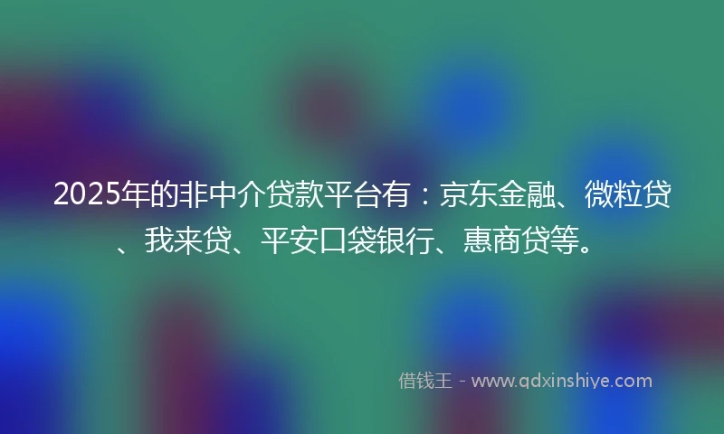 2025年的非中介贷款平台有：京东金融、微粒贷、我来贷、平安口袋银行、惠商贷等。