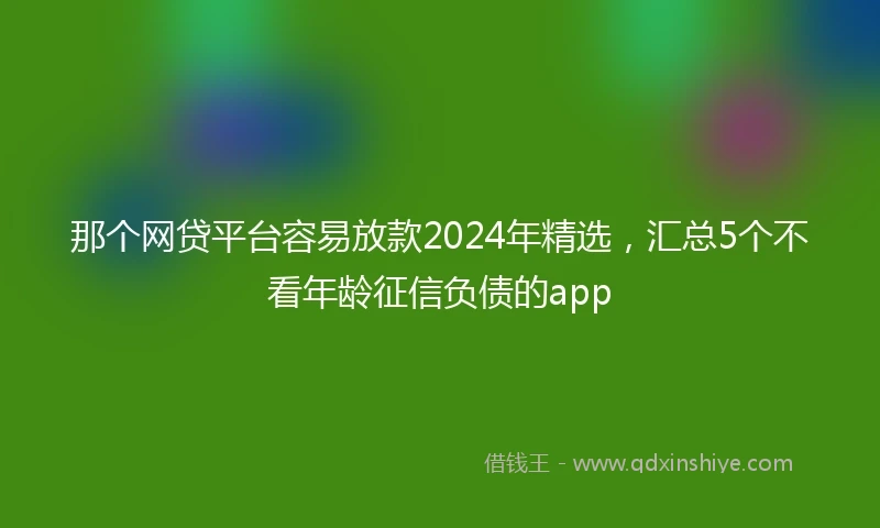 那个网贷平台容易放款2024年精选，汇总5个不看年龄征信负债的app