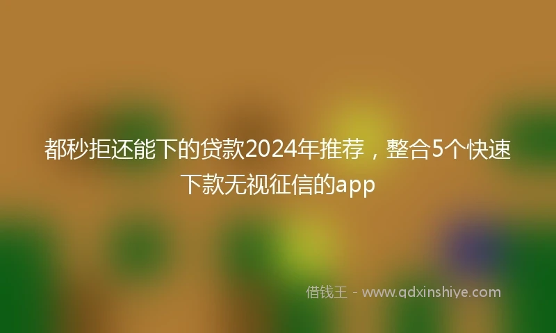 都秒拒还能下的贷款2024年推荐，整合5个快速下款无视征信的app
