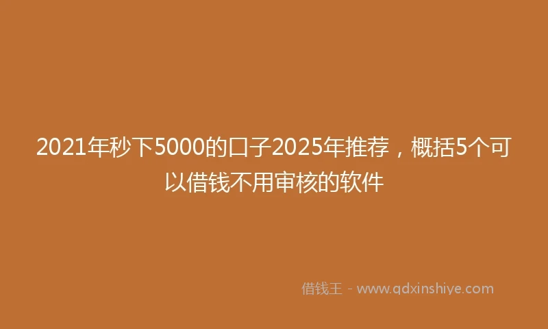 2021年秒下5000的口子2025年推荐，概括5个可以借钱不用审核的软件