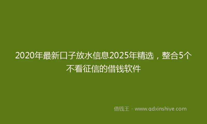 2020年最新口子放水信息2025年精选，整合5个不看征信的借钱软件