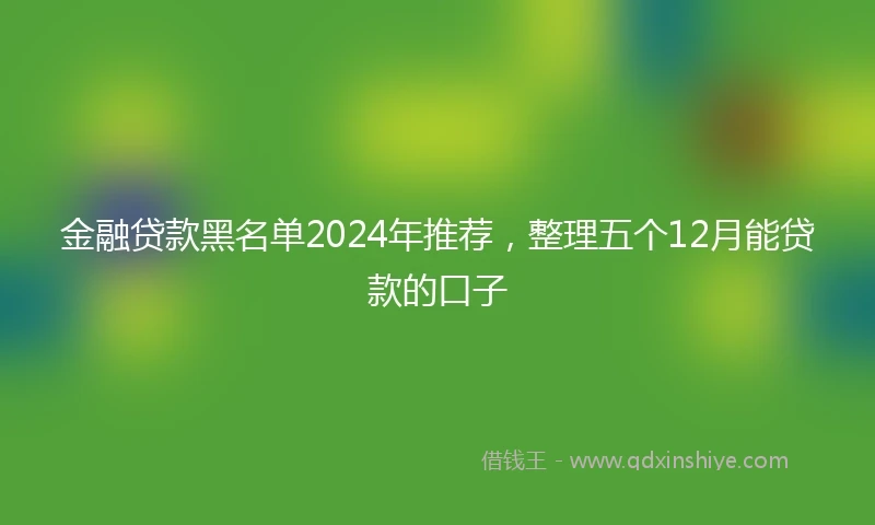 金融贷款黑名单2024年推荐，整理五个12月能贷款的口子