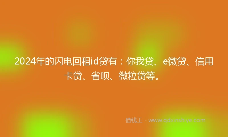2024年的闪电回租id贷有：你我贷、e微贷、信用卡贷、省呗、微粒贷等。