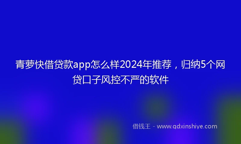 青萝快借贷款app怎么样2024年推荐，归纳5个网贷口子风控不严的软件