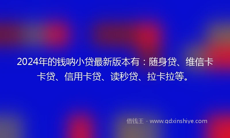 2024年的钱呐小贷最新版本有：随身贷、维信卡卡贷、信用卡贷、读秒贷、拉卡拉等。