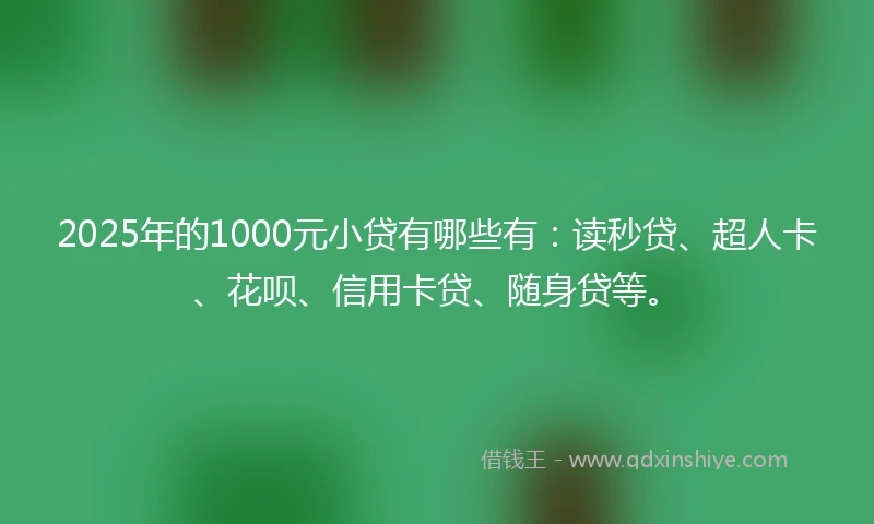 2025年的1000元小贷有哪些有：读秒贷、超人卡、花呗、信用卡贷、随身贷等。