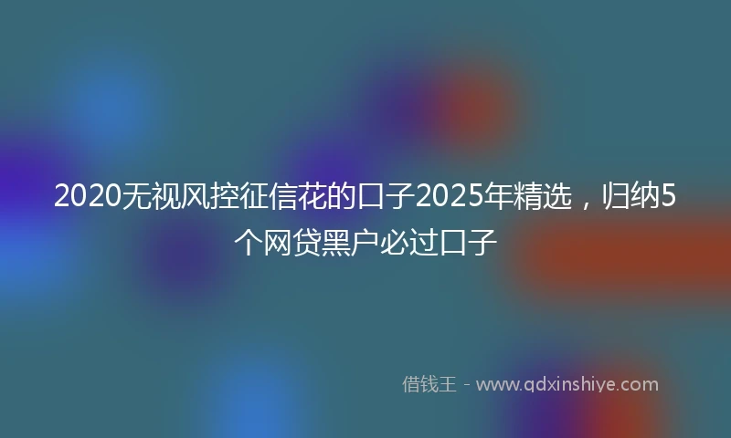 2020无视风控征信花的口子2025年精选，归纳5个网贷黑户必过口子