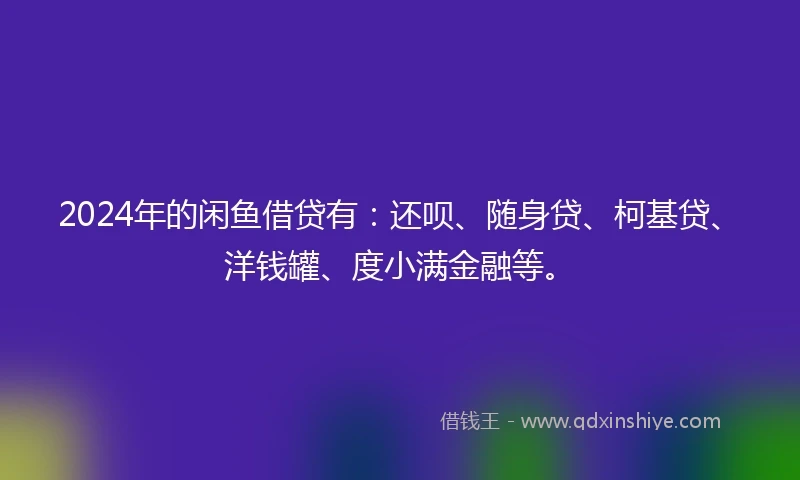 2024年的闲鱼借贷有：还呗、随身贷、柯基贷、洋钱罐、度小满金融等。