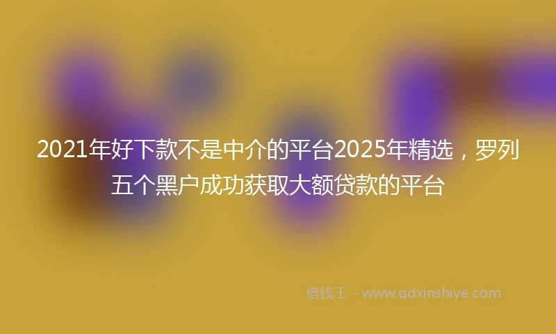 2021年好下款不是中介的平台2025年精选，罗列五个黑户成功获取大额贷款的平台