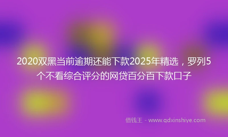 2020双黑当前逾期还能下款2025年精选，罗列5个不看综合评分的网贷百分百下款口子