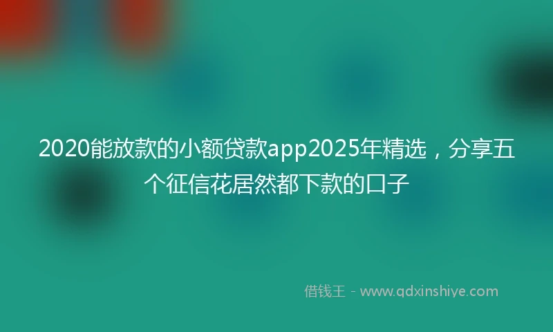 2020能放款的小额贷款app2025年精选，分享五个征信花居然都下款的口子