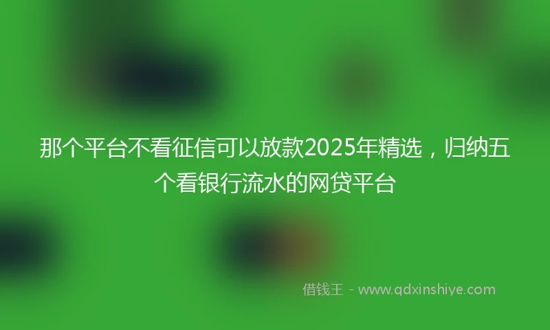 那个平台不看征信可以放款2025年精选，归纳五个看银行流水的网贷平台