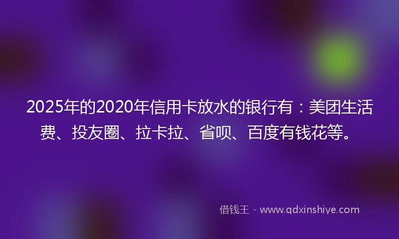 2025年的2020年信用卡放水的银行有：美团生活费、投友圈、拉卡拉、省呗、百度有钱花等。