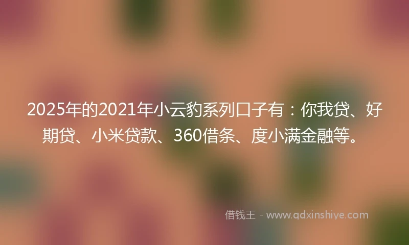 2025年的2021年小云豹系列口子有：你我贷、好期贷、小米贷款、360借条、度小满金融等。
