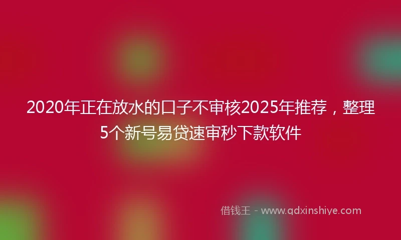 2020年正在放水的口子不审核2025年推荐，整理5个新号易贷速审秒下款软件