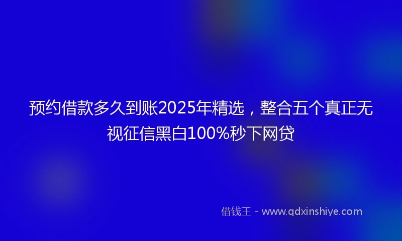 预约借款多久到账2025年精选，整合五个真正无视征信黑白100%秒下网贷