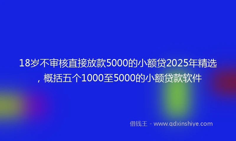 18岁不审核直接放款5000的小额贷2025年精选，概括五个1000至5000的小额贷款软件