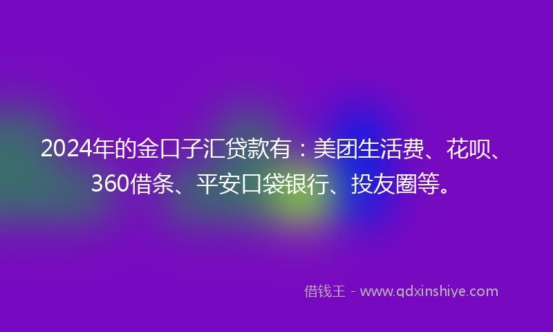2024年的金口子汇贷款有：美团生活费、花呗、360借条、平安口袋银行、投友圈等。