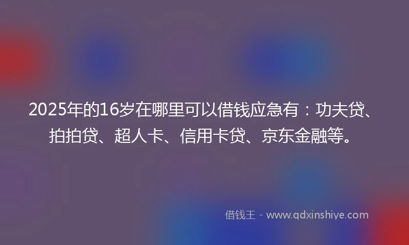 2025年的16岁在哪里可以借钱应急有：功夫贷、拍拍贷、超人卡、信用卡贷、京东金融等。