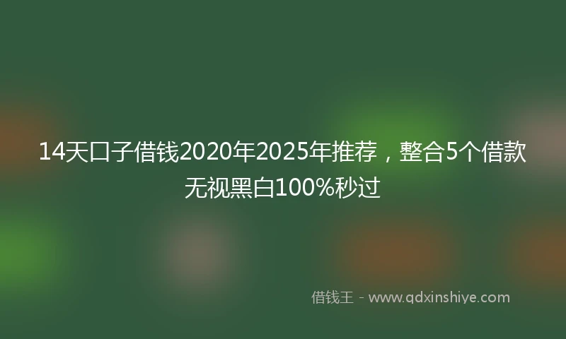 14天口子借钱2020年2025年推荐，整合5个借款无视黑白100%秒过