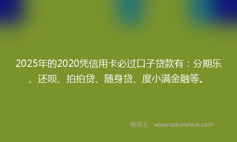 2025年的2020凭信用卡必过口子贷款有：分期乐、还呗、拍拍贷、随身贷、度小满金融等。