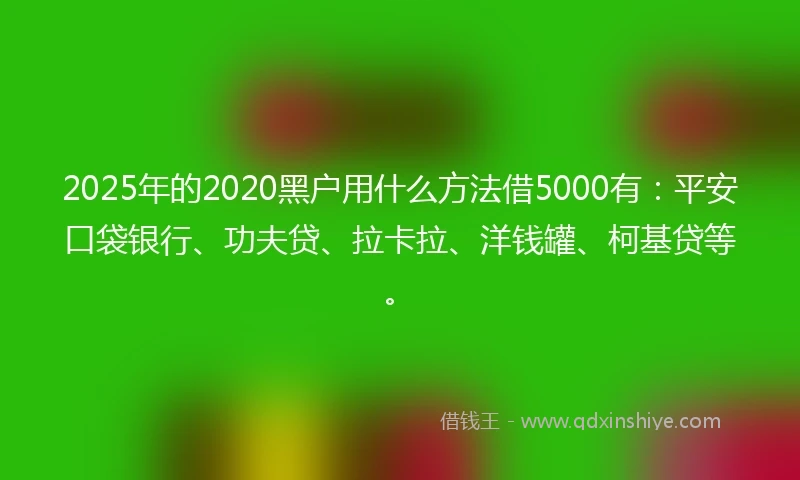 2025年的2020黑户用什么方法借5000有：平安口袋银行、功夫贷、拉卡拉、洋钱罐、柯基贷等。