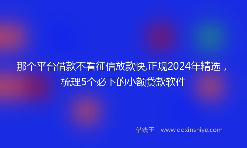 那个平台借款不看征信放款快,正规2024年精选，梳理5个必下的小额贷款软件