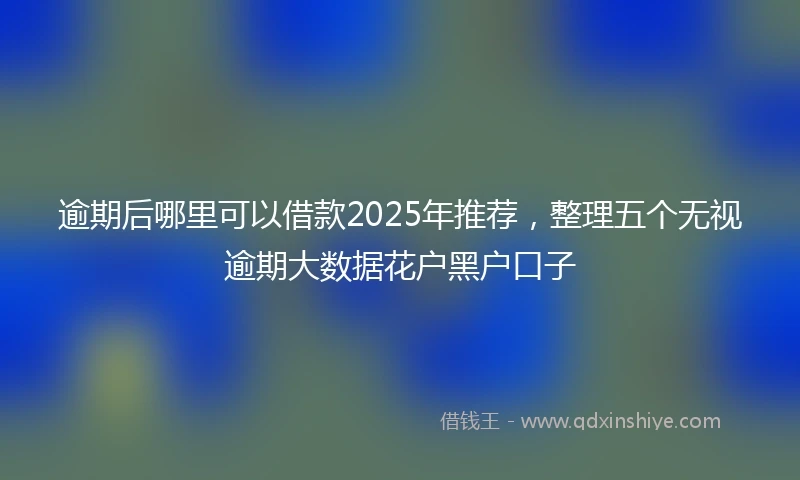 逾期后哪里可以借款2025年推荐，整理五个无视逾期大数据花户黑户口子