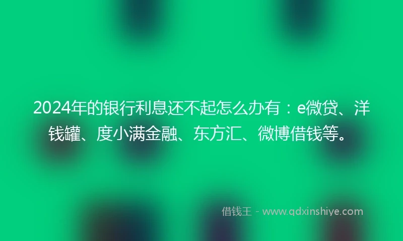 2024年的银行利息还不起怎么办有：e微贷、洋钱罐、度小满金融、东方汇、微博借钱等。