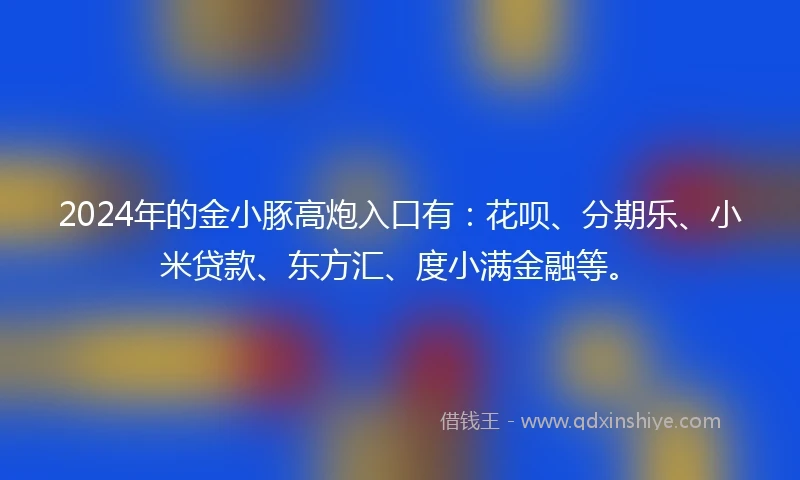 2024年的金小豚高炮入口有：花呗、分期乐、小米贷款、东方汇、度小满金融等。