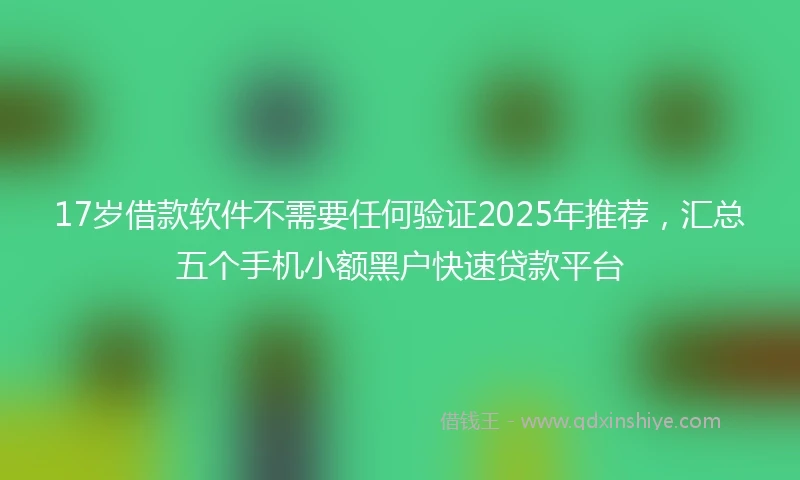 17岁借款软件不需要任何验证2025年推荐，汇总五个手机小额黑户快速贷款平台