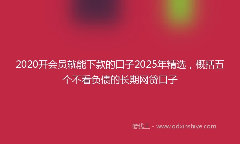 2020开会员就能下款的口子2025年精选，概括五个不看负债的长期网贷口子