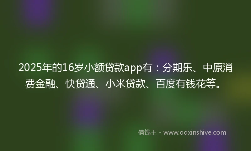 2025年的16岁小额贷款app有：分期乐、中原消费金融、快贷通、小米贷款、百度有钱花等。