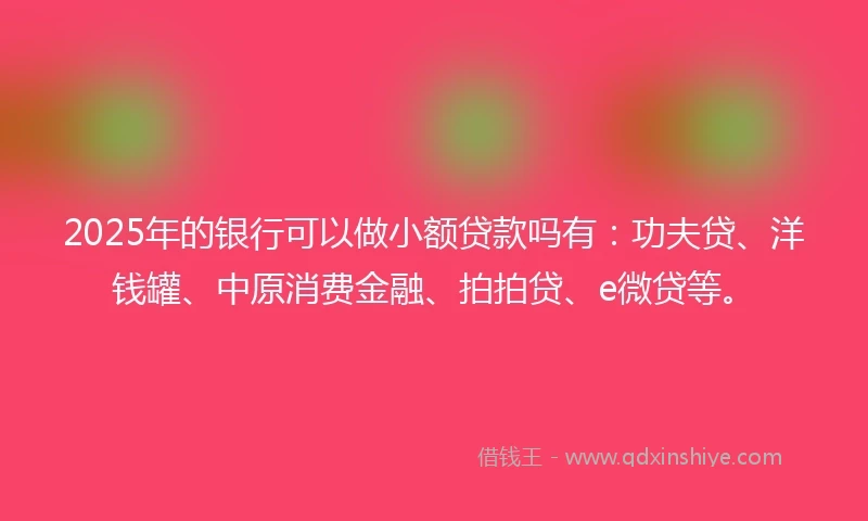 2025年的银行可以做小额贷款吗有：功夫贷、洋钱罐、中原消费金融、拍拍贷、e微贷等。