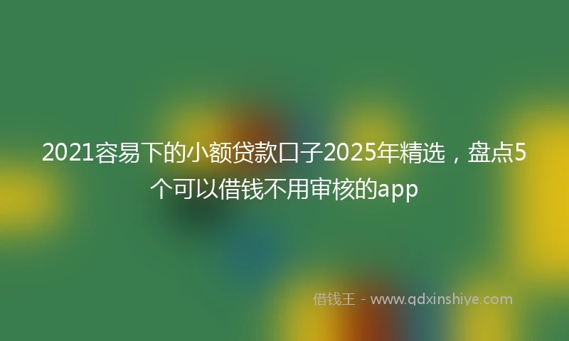 2021容易下的小额贷款口子2025年精选，盘点5个可以借钱不用审核的app