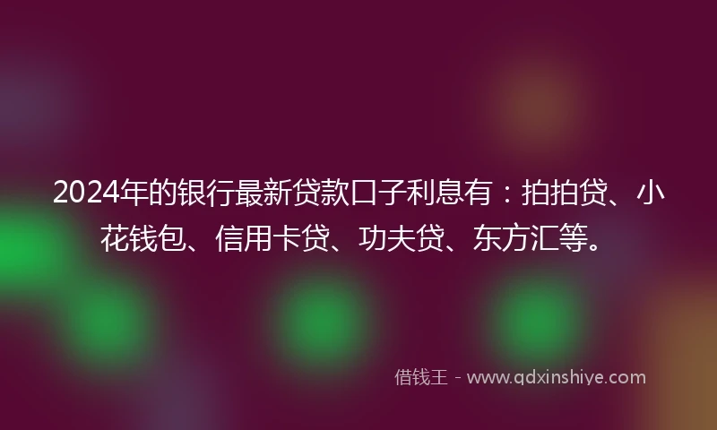 2024年的银行最新贷款口子利息有：拍拍贷、小花钱包、信用卡贷、功夫贷、东方汇等。