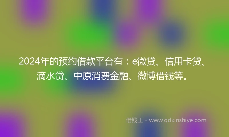 2024年的预约借款平台有：e微贷、信用卡贷、滴水贷、中原消费金融、微博借钱等。