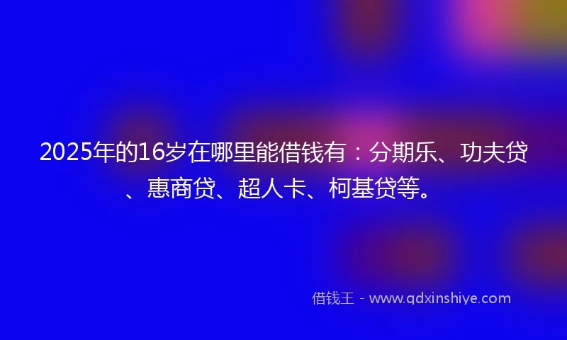2025年的16岁在哪里能借钱有：分期乐、功夫贷、惠商贷、超人卡、柯基贷等。