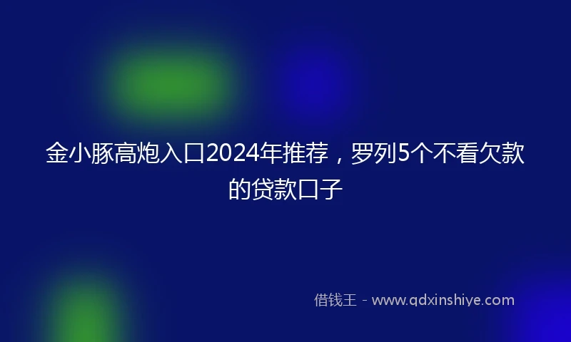 金小豚高炮入口2024年推荐，罗列5个不看欠款的贷款口子