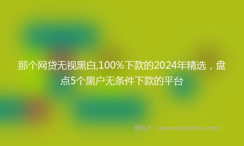 那个网贷无视黑白,100%下款的2024年精选，盘点5个黑户无条件下款的平台