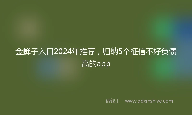 金蝉子入口2024年推荐，归纳5个征信不好负债高的app