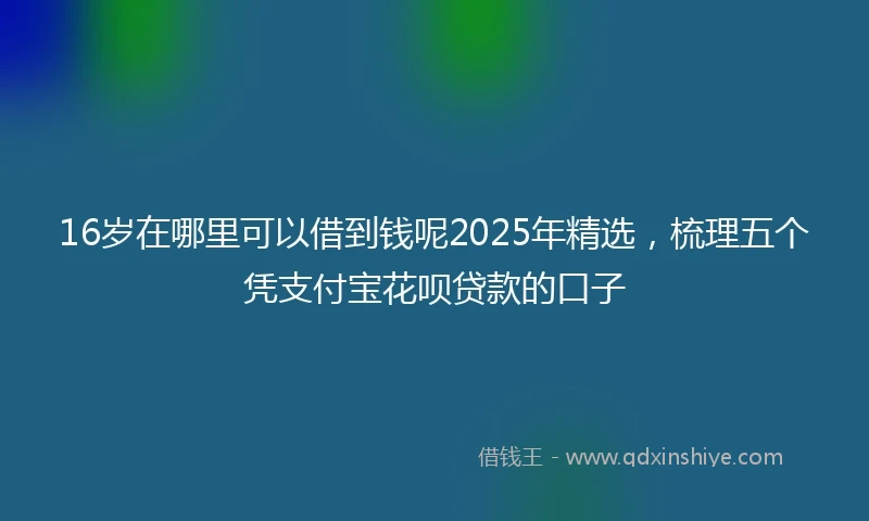 16岁在哪里可以借到钱呢2025年精选，梳理五个凭支付宝花呗贷款的口子